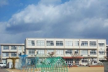 写真15