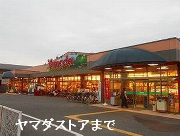 写真19