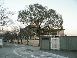 広野小学校まで905m (徒歩12分) 写真21