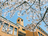 関西国際大学 三木キャンパス 写真24