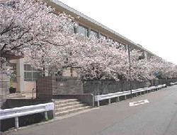 網干中学校まで1414m (徒歩18分) 写真22