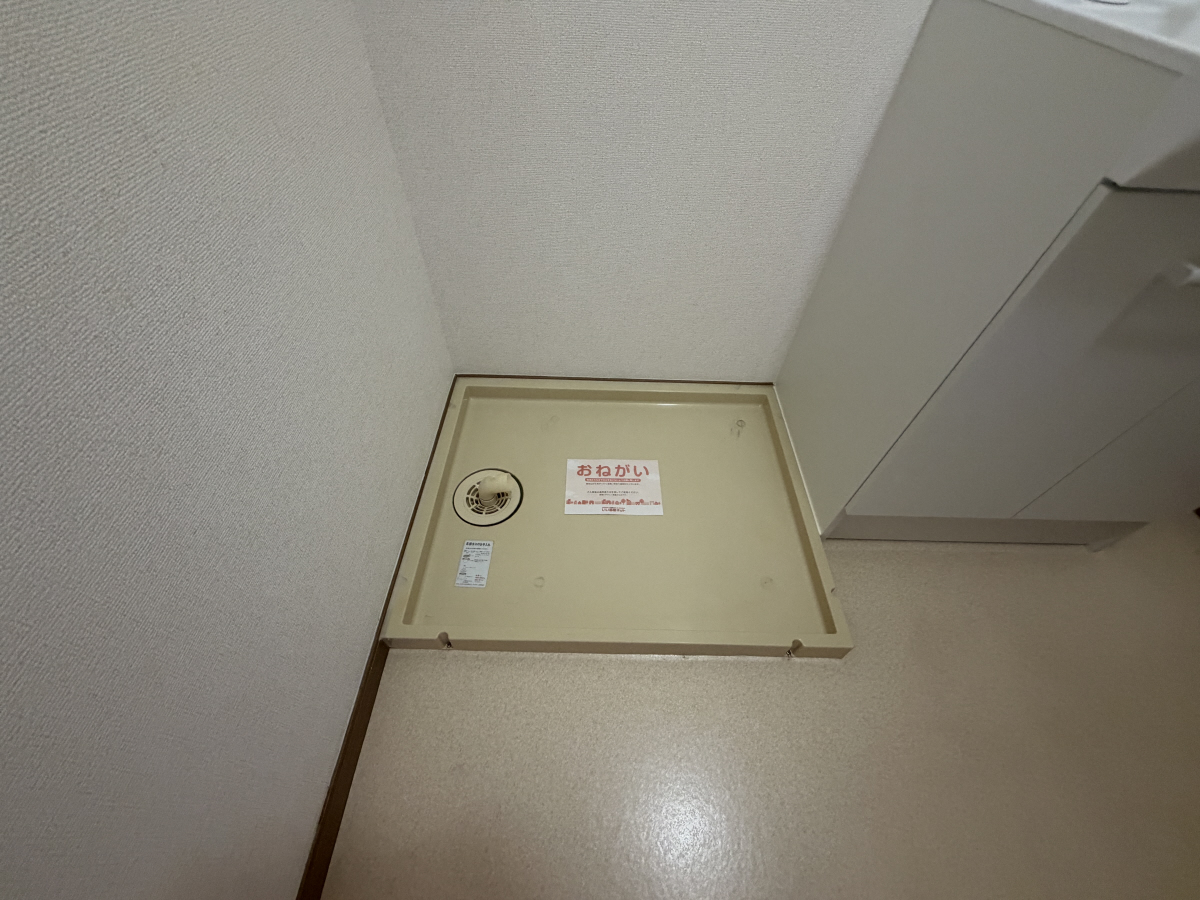 写真7