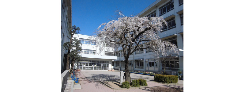荒川小学校まで1392m (徒歩18分) 写真21