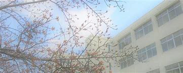 稲美北中学校まで1888m (徒歩24分) 写真22