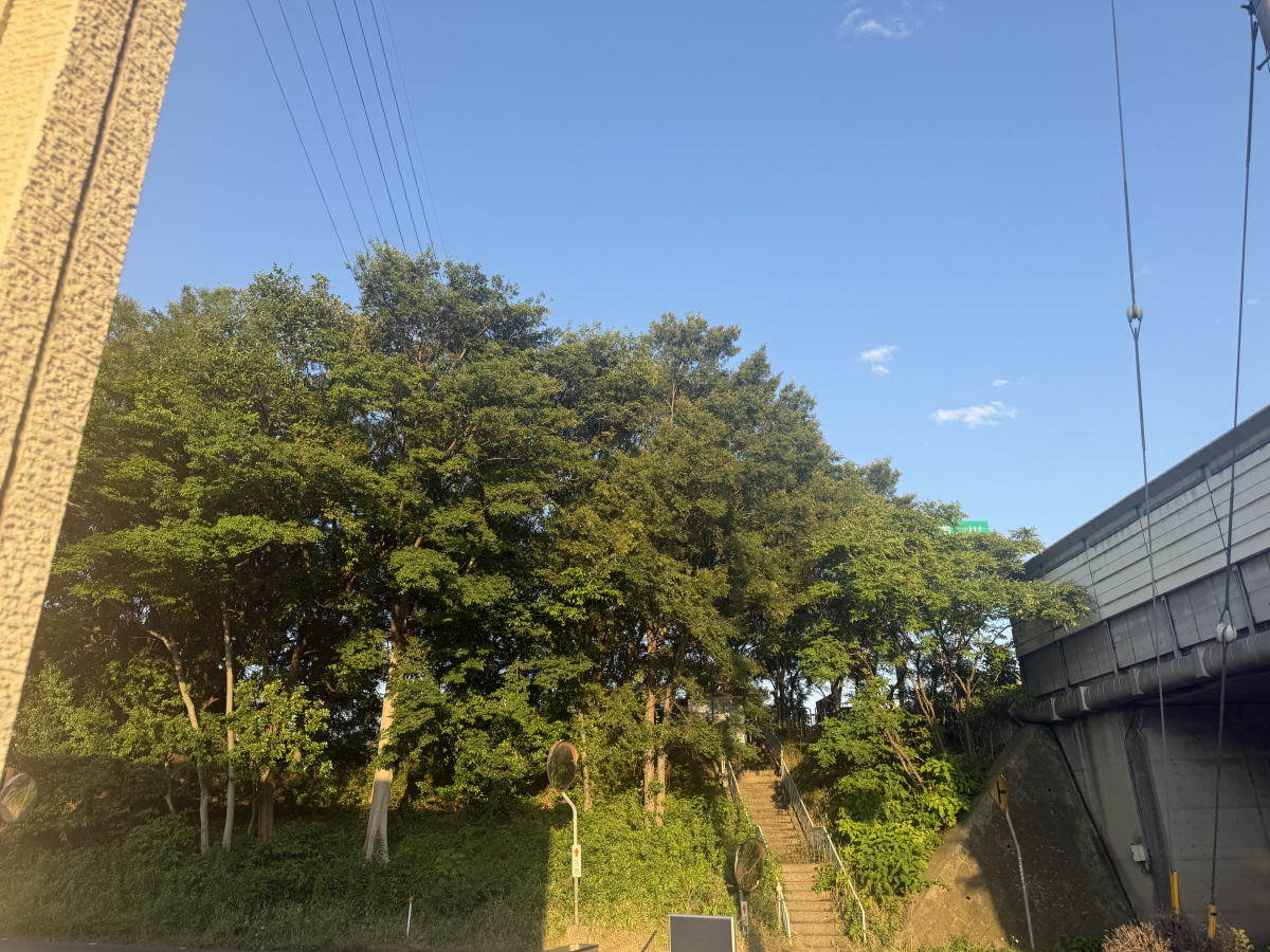 眺望 写真29