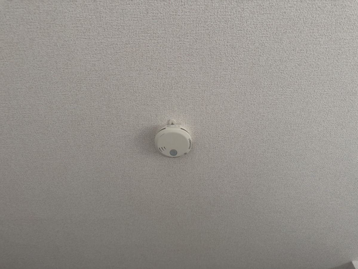 写真15
