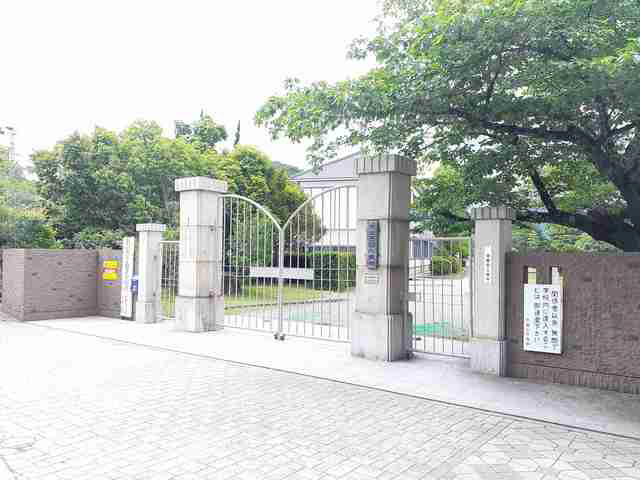 写真12