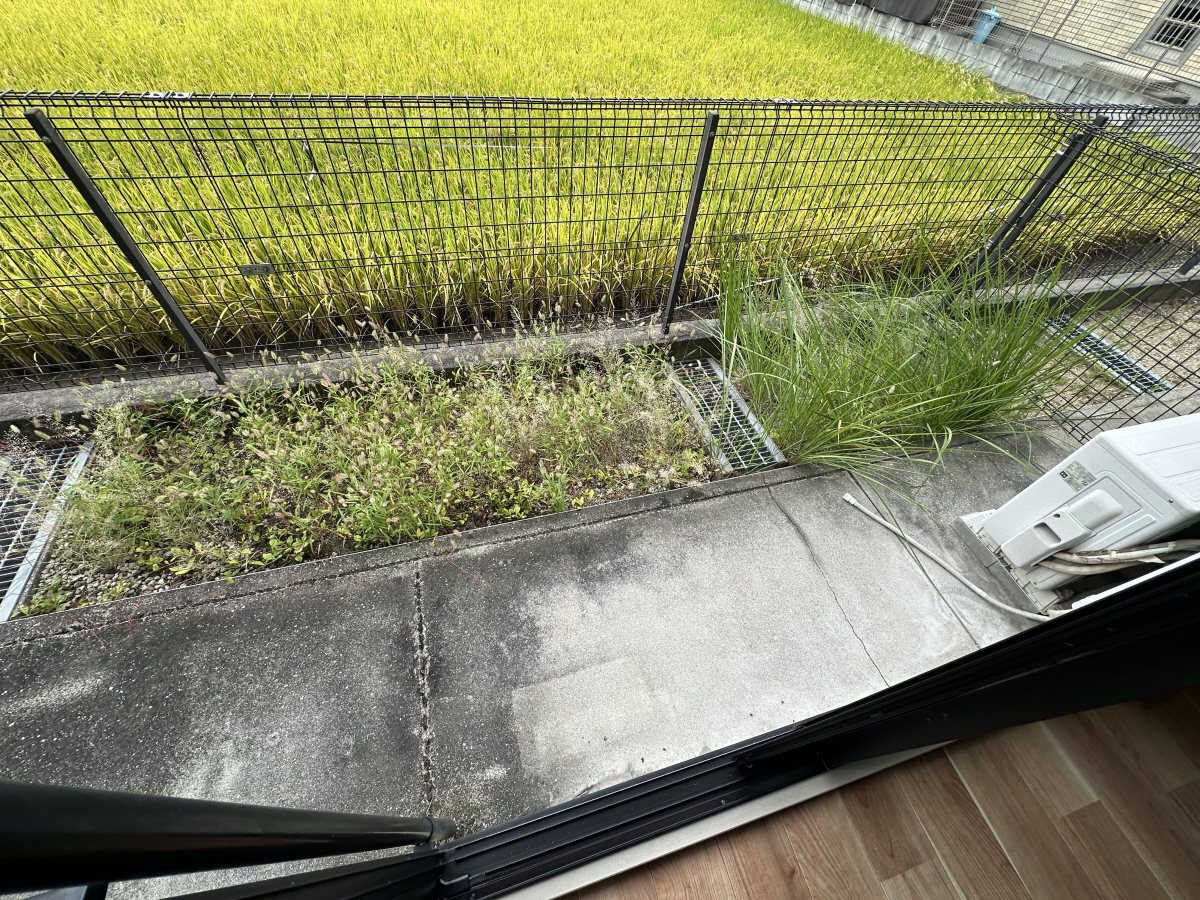 バルコニー・ベランダ 写真15