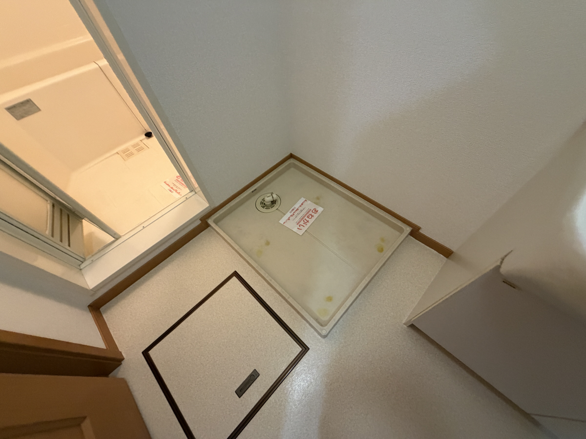 写真8