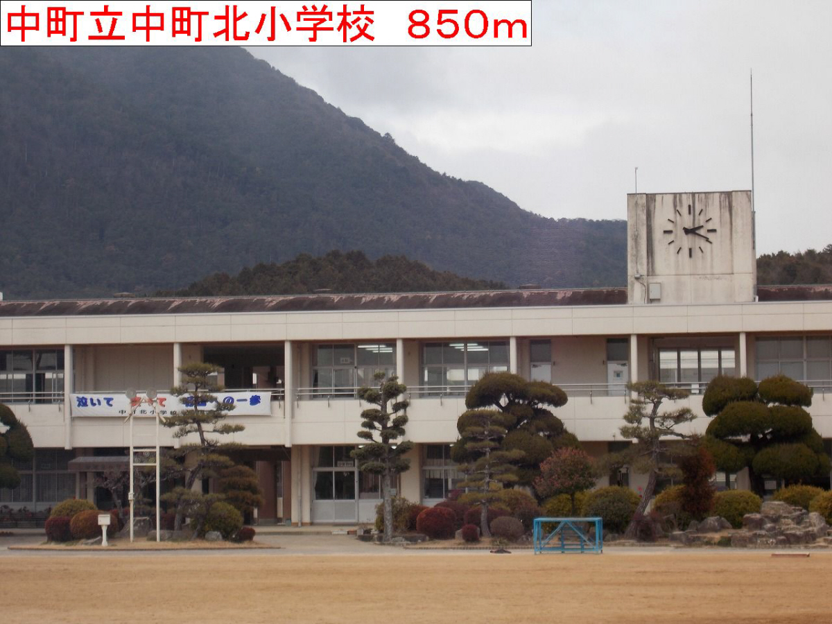 写真33