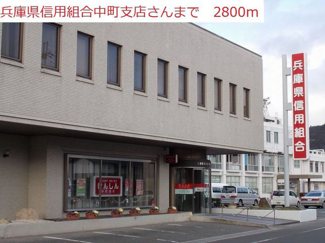 写真37