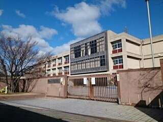 写真19