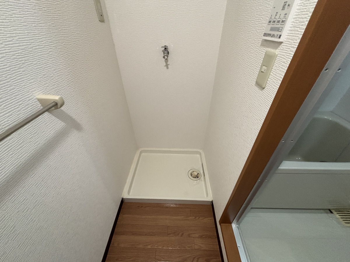 写真5