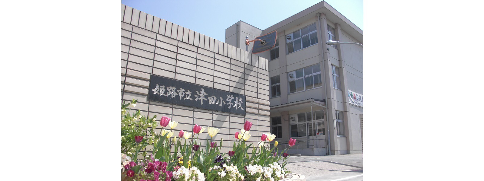 津田小学校まで420m (徒歩6分) 写真21