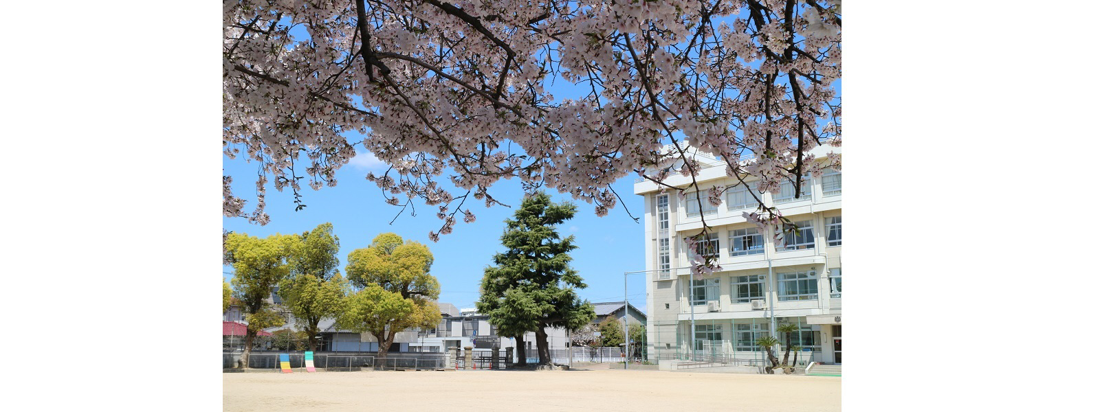 城東小学校まで1102m (徒歩14分) 写真21