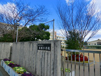 写真20