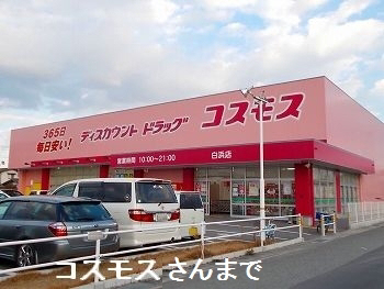 写真19
