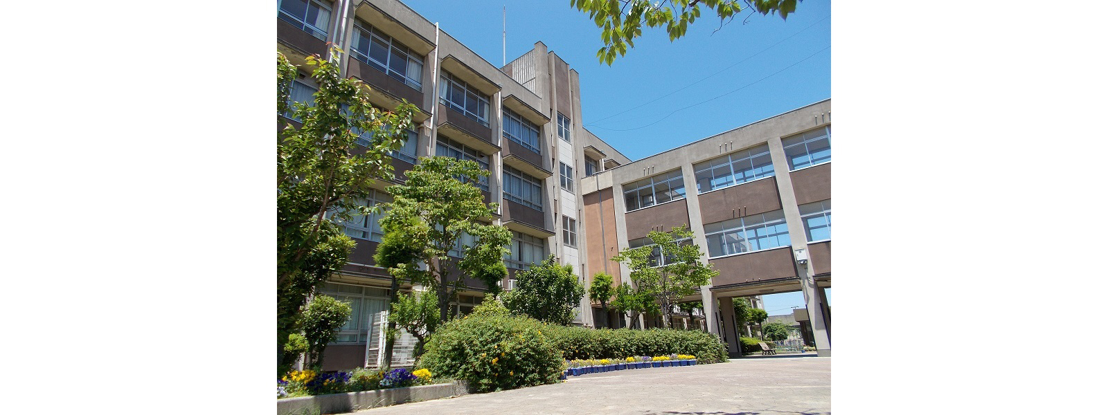 南大津小学校まで1361m (徒歩18分) 写真21