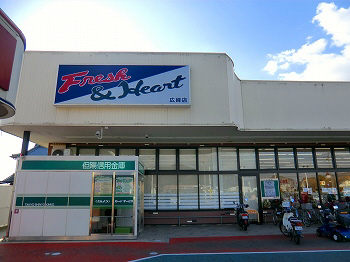 写真14
