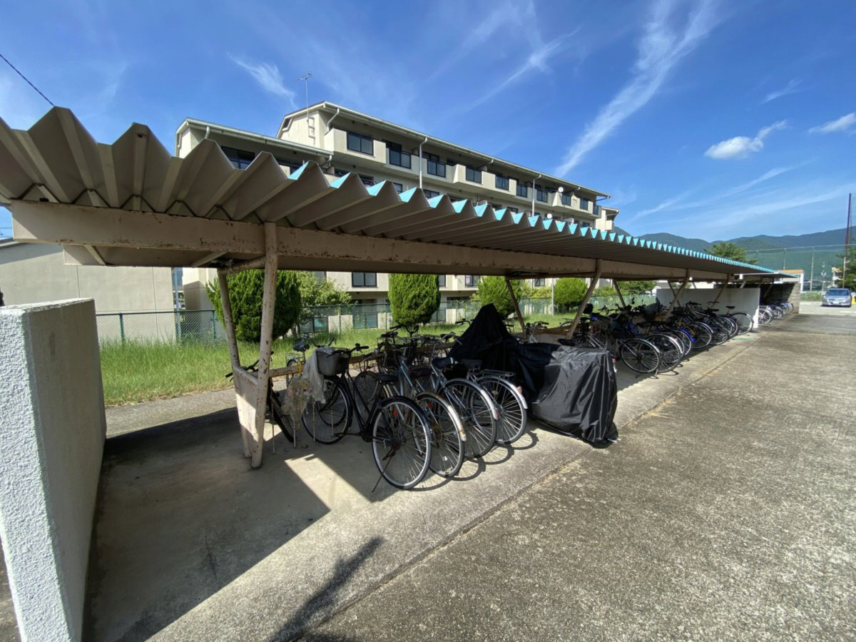 写真14