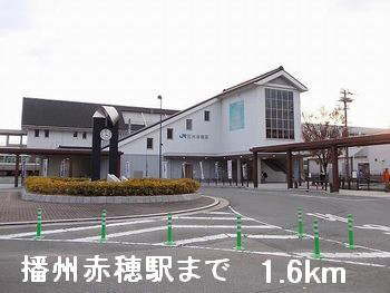 写真17
