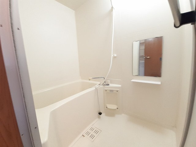 バス 写真4