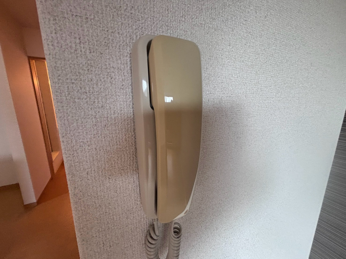 庭 写真11