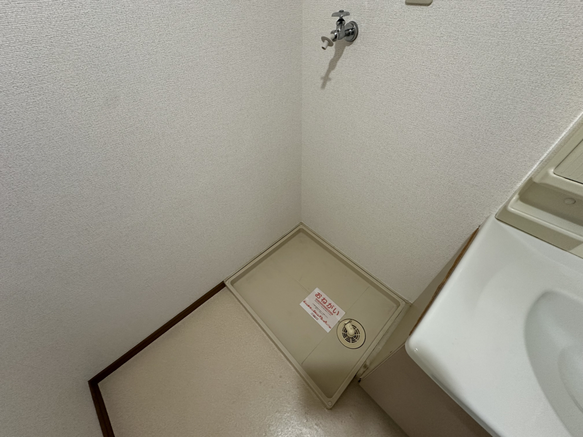写真7