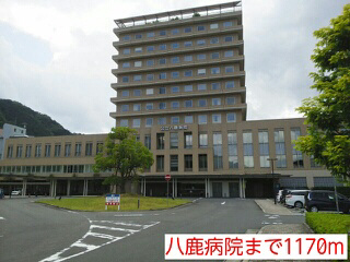 写真6