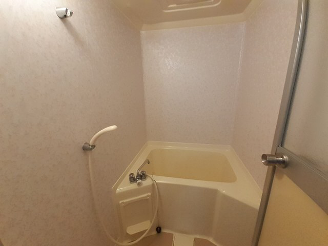 バス 写真4
