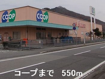 写真19