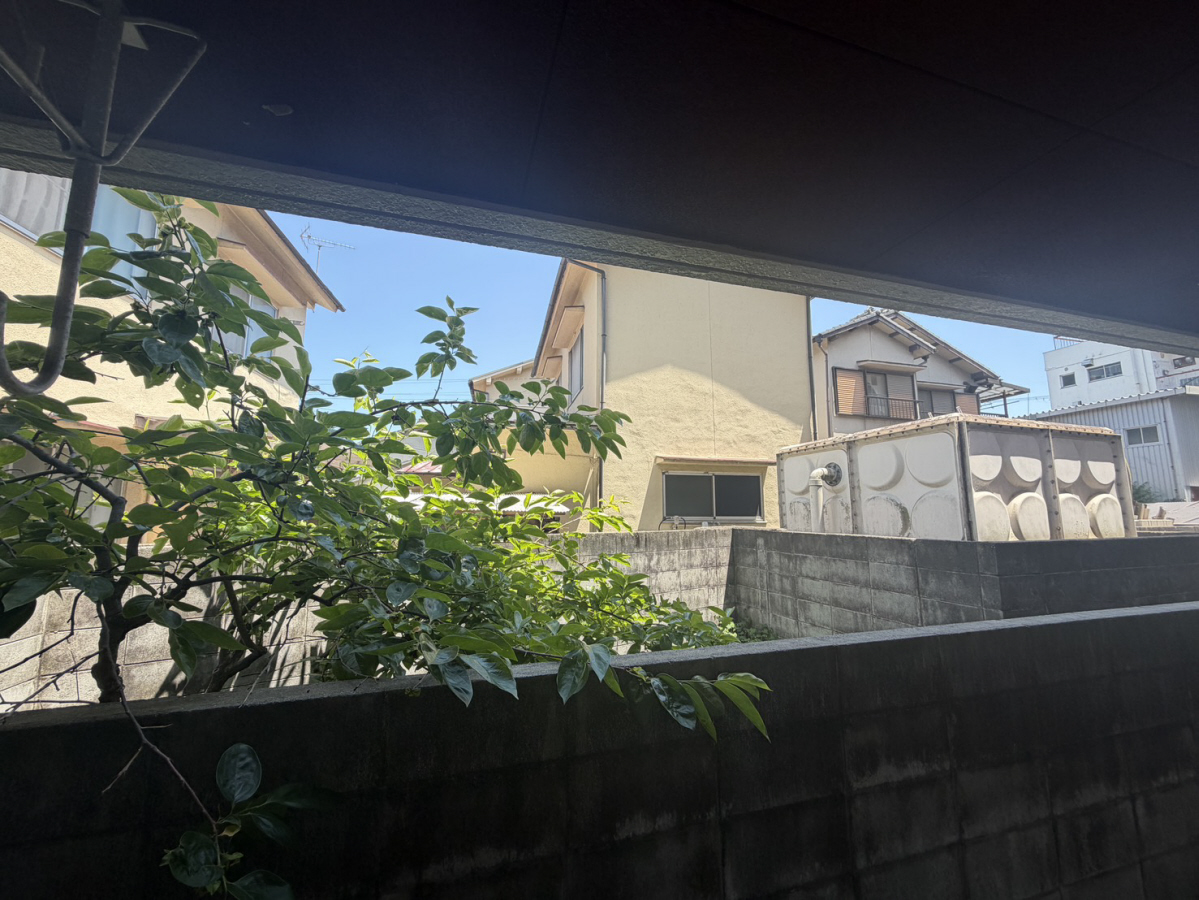 眺望 写真11