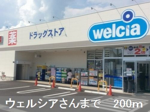 写真14