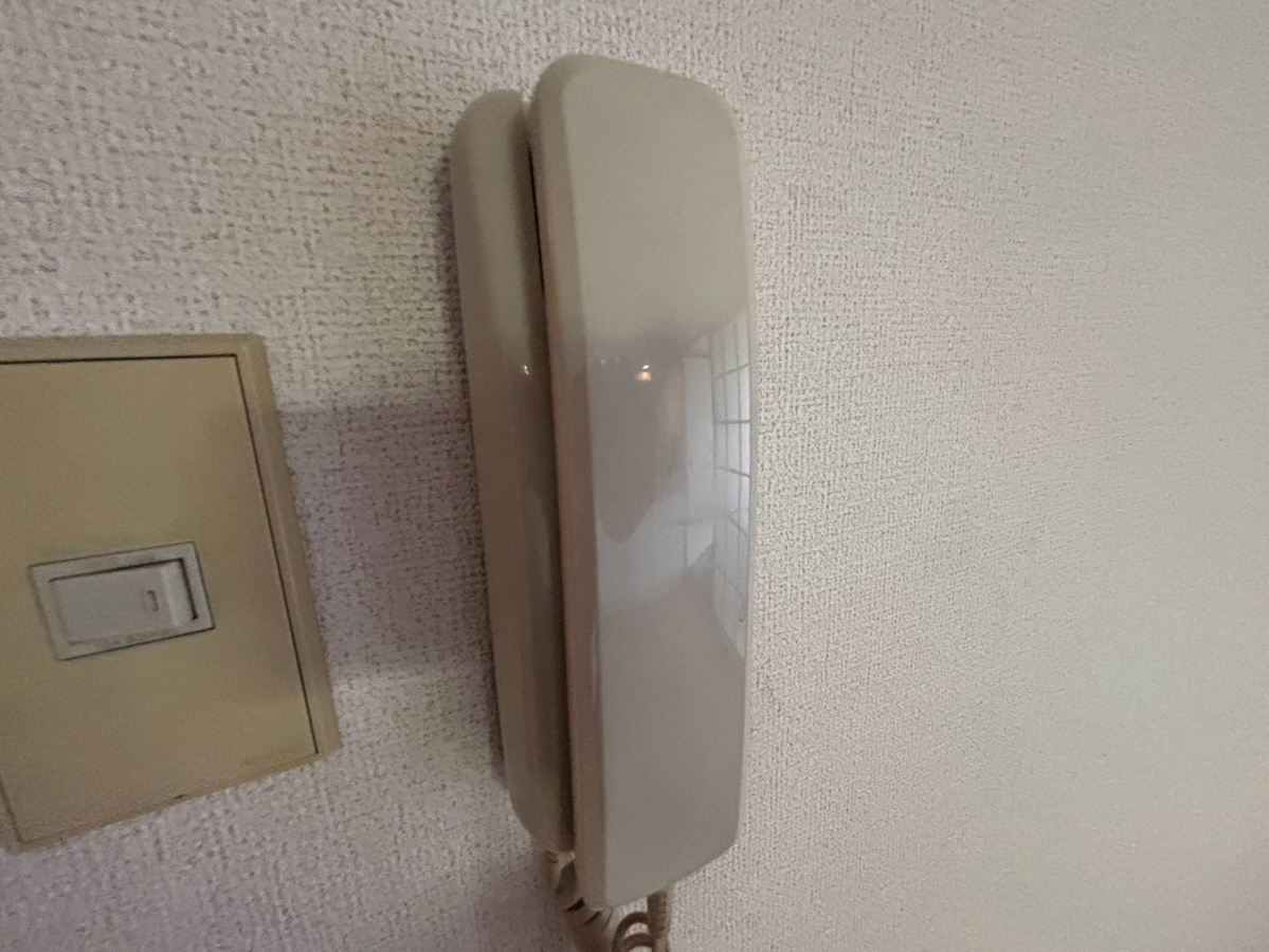 庭 写真11