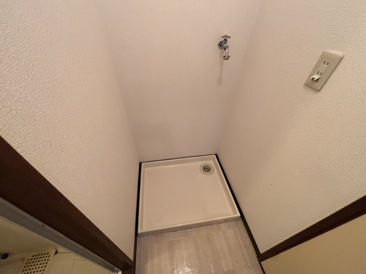 写真6