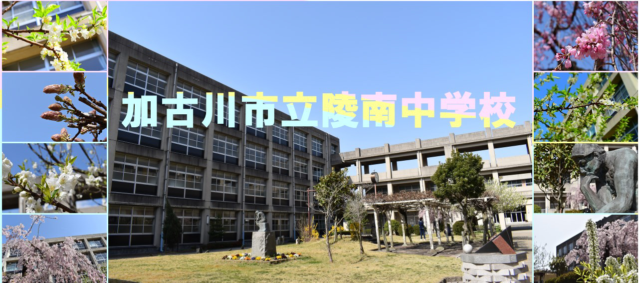 陵南中学校まで970m (徒歩13分) 写真22