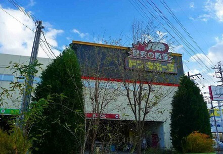 写真14