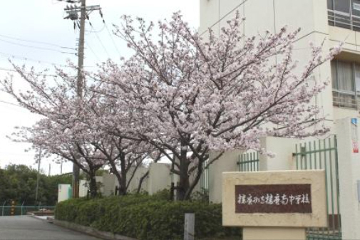 播磨南中学校まで1200m (徒歩15分) 写真22