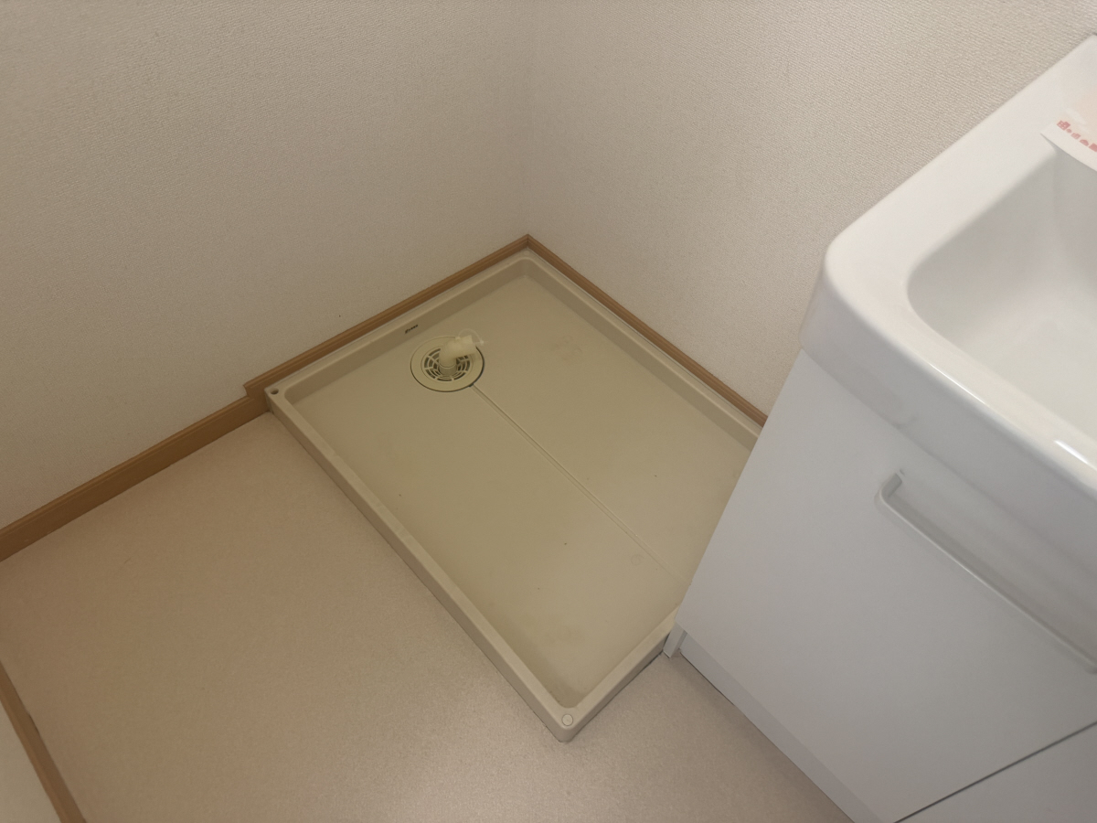 写真9