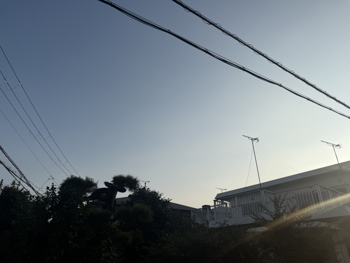 眺望 写真29