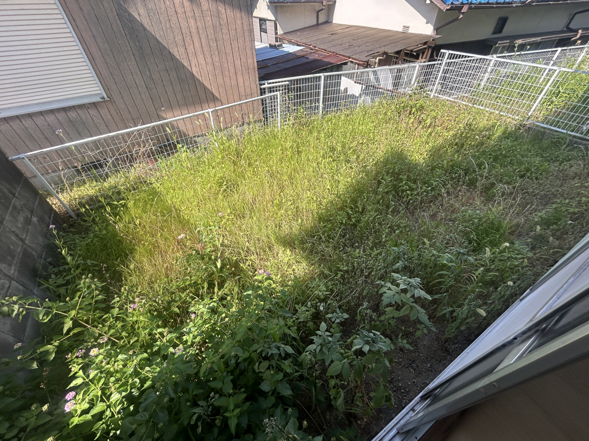 庭 写真13