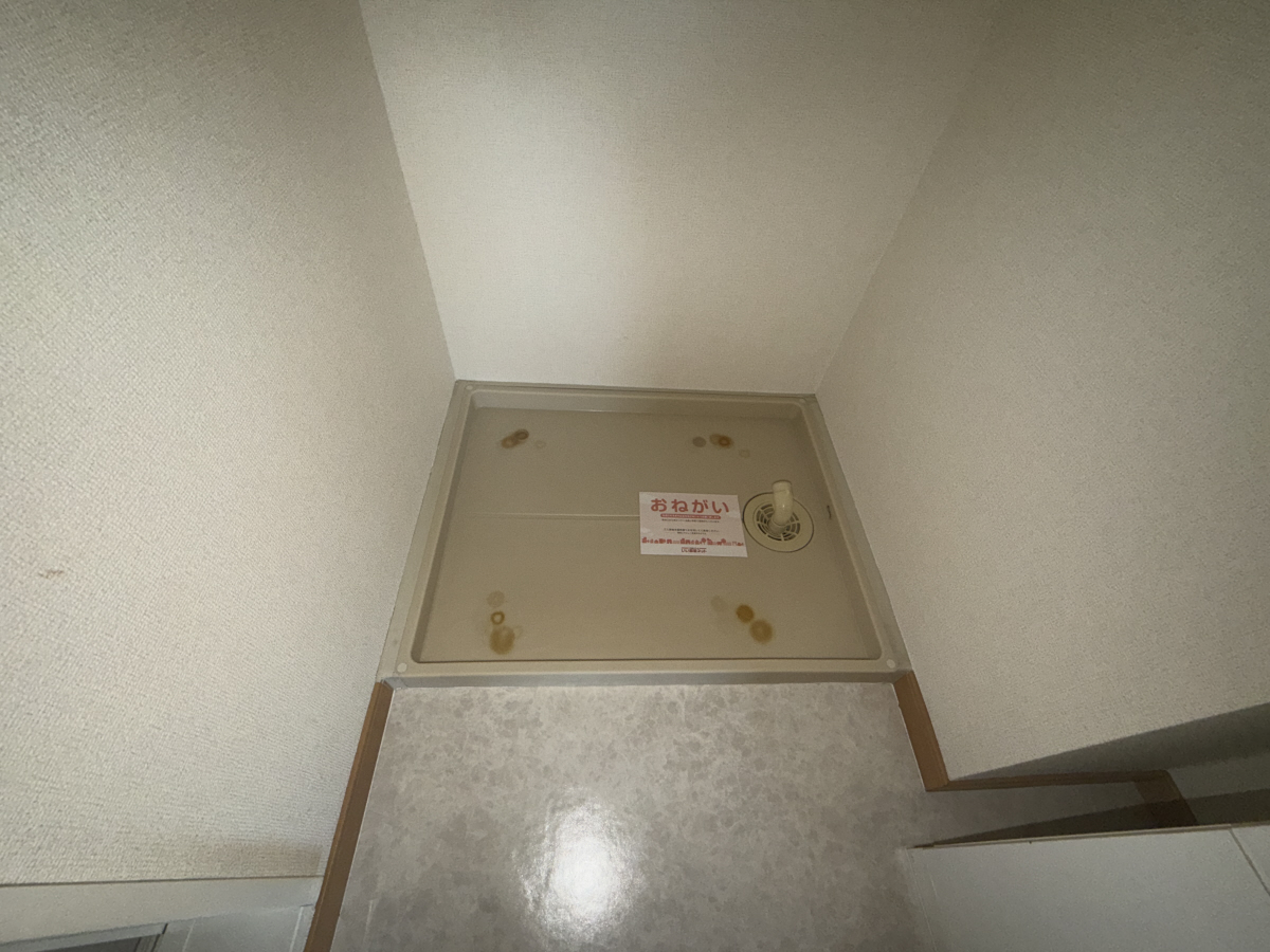 写真7