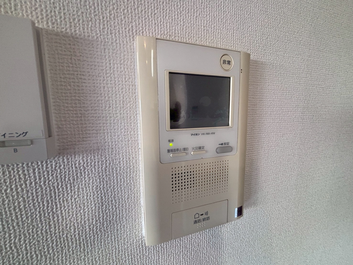 庭 写真11