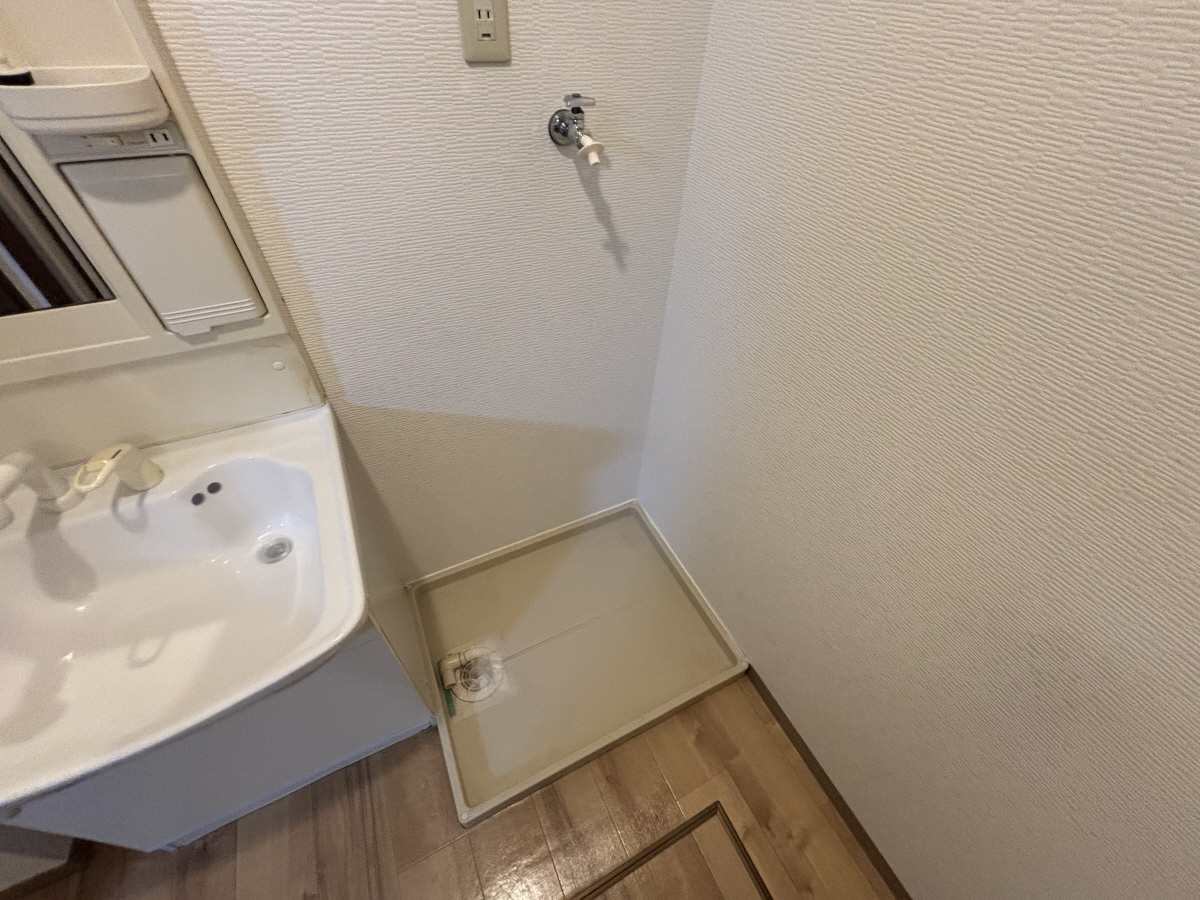 写真6