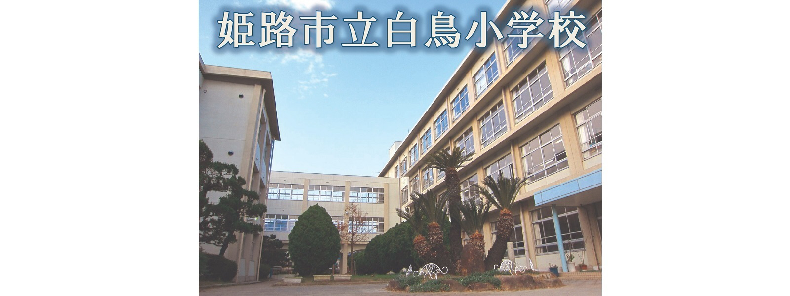白鳥小学校まで1232m (徒歩16分) 写真21