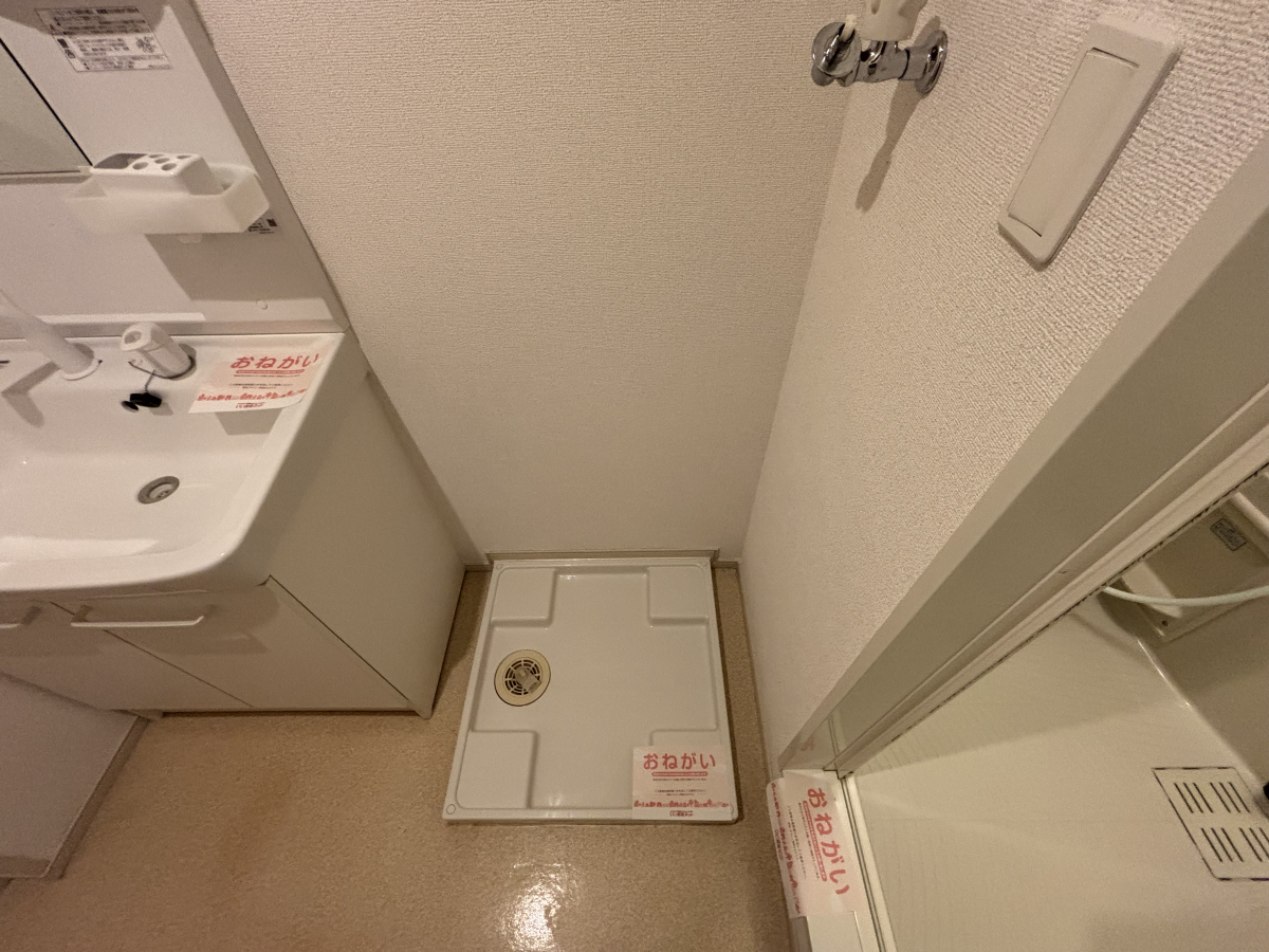 写真7