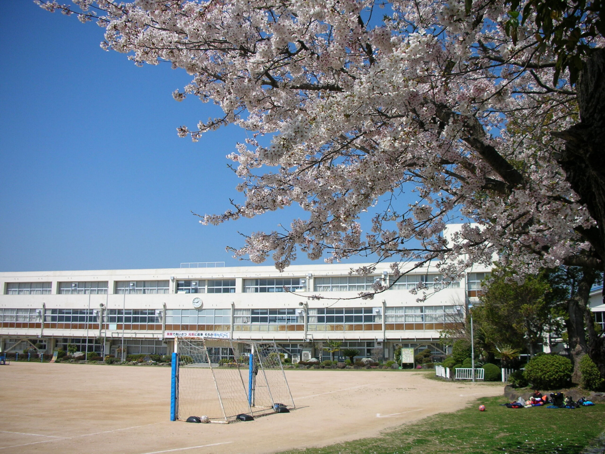 誉田小学校まで848m (徒歩11分) 写真21