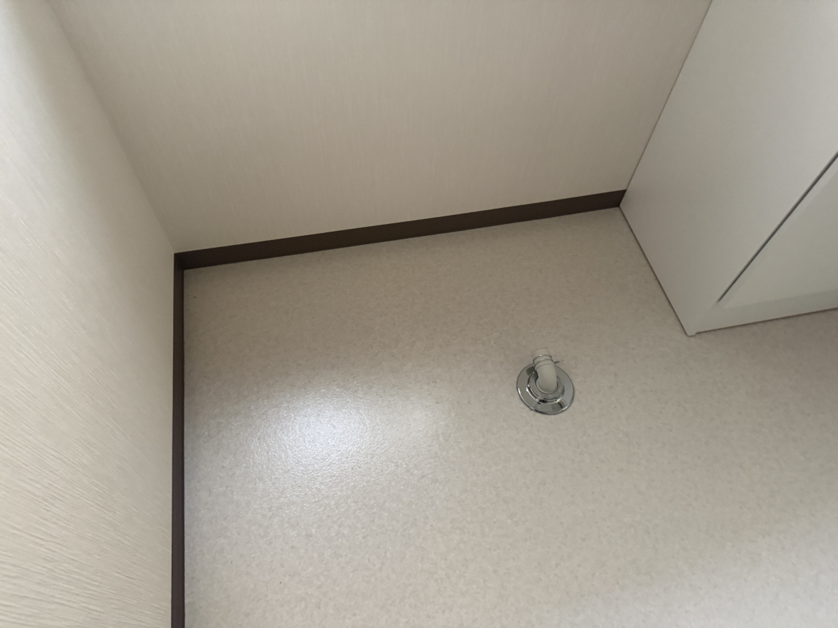 写真7