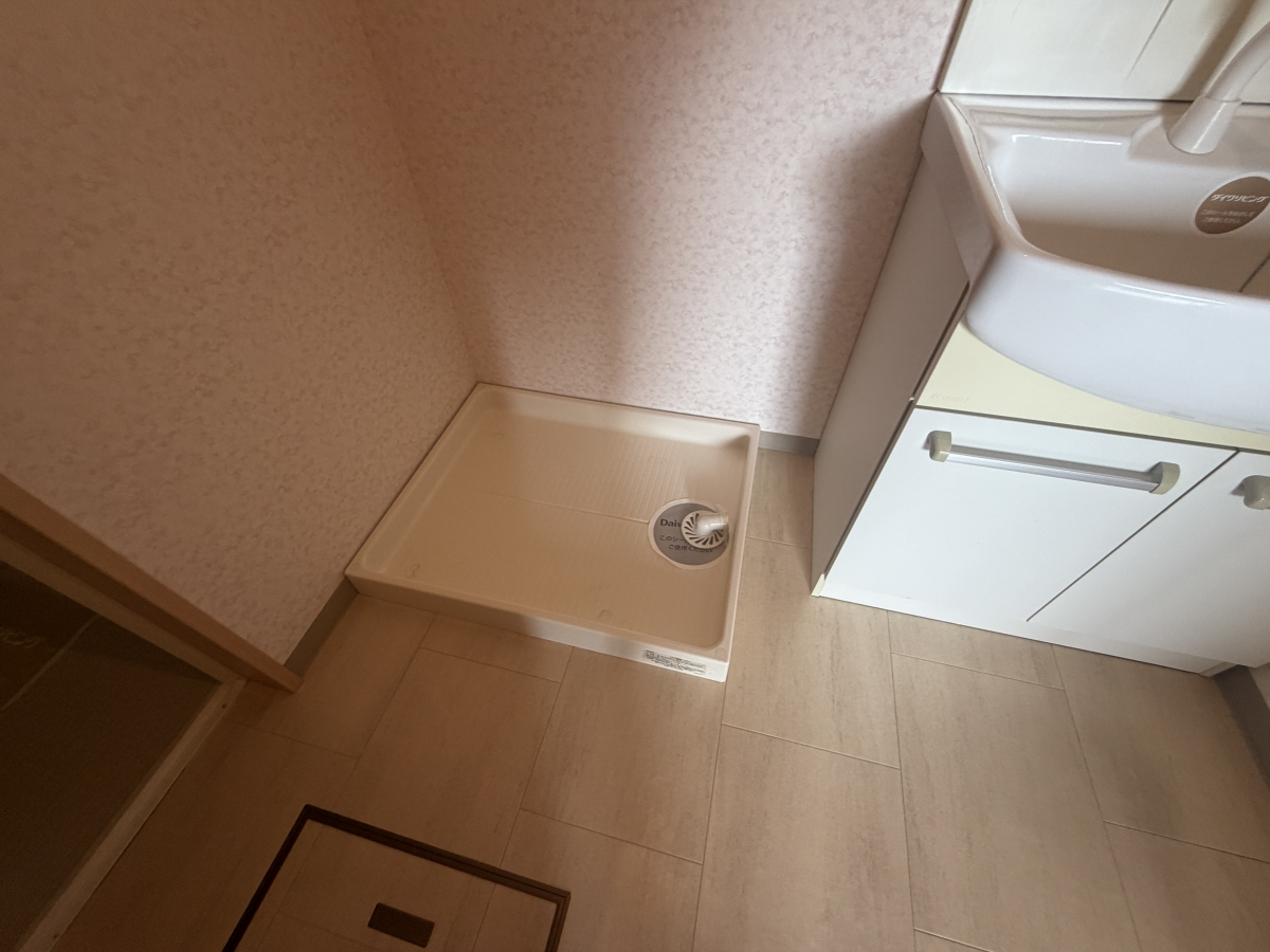 写真12