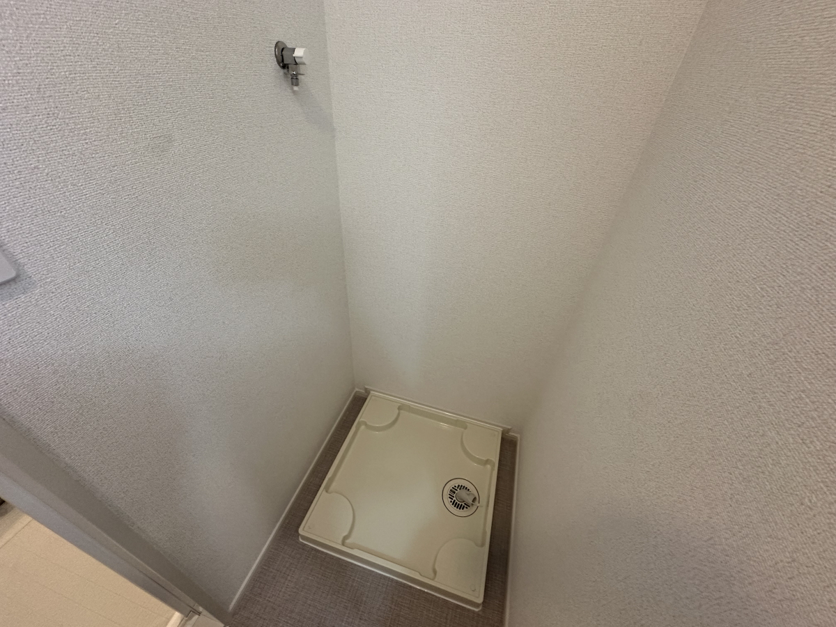 写真7